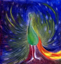 Night of Light, 2012